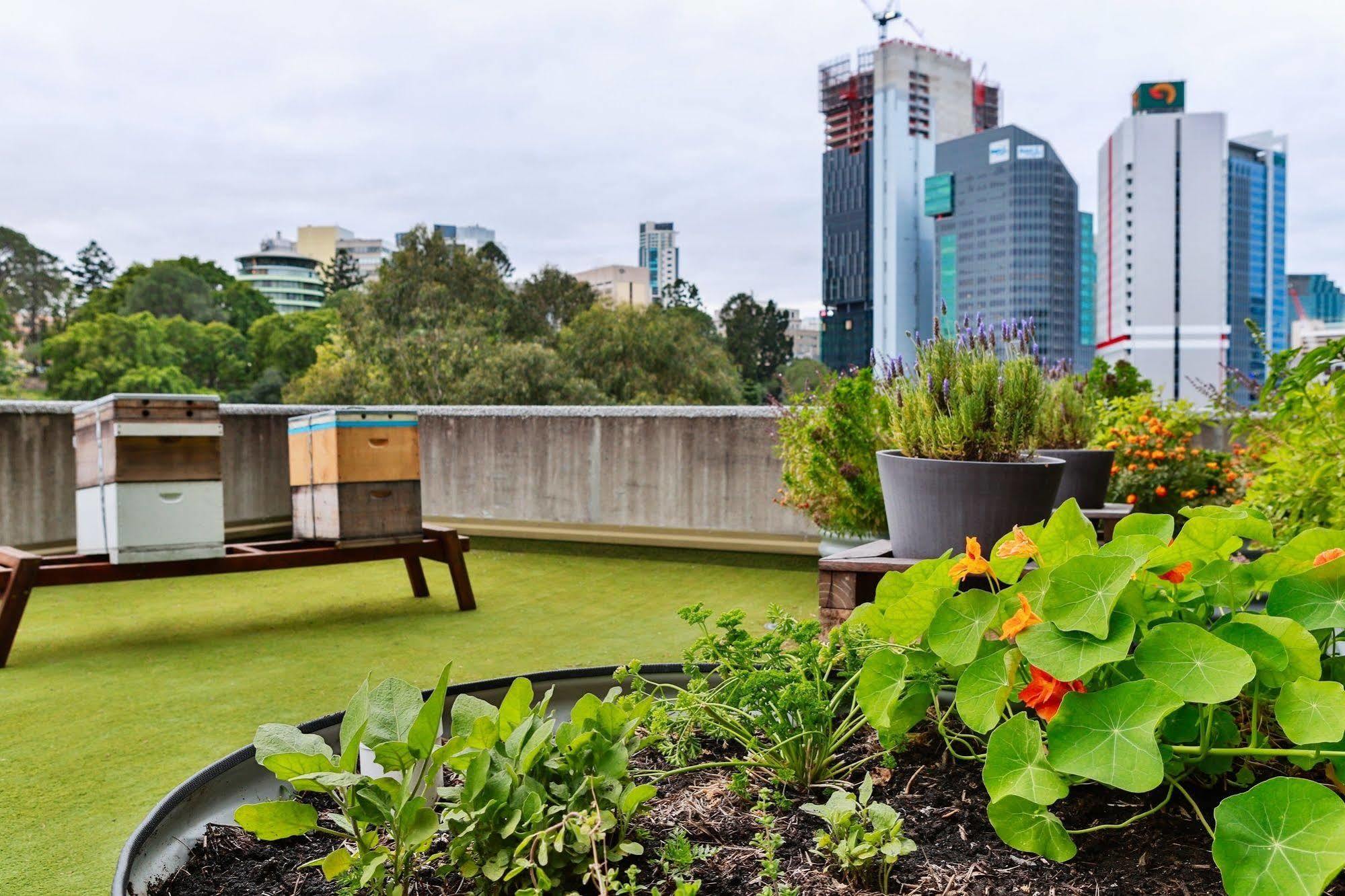 Hotel Jen Brisbane Exteriér fotografie